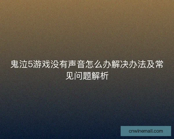 鬼泣5游戏没有声音怎么办解决办法及常见问题解析