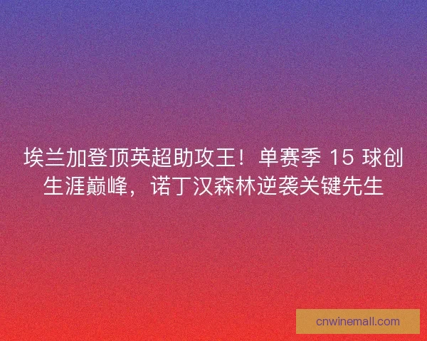 埃兰加登顶英超助攻王！单赛季 15 球创生涯巅峰，诺丁汉森林逆袭关键先生